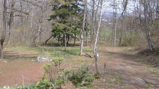 長野県菅平高原 ゆたか山荘 坂上 2026/04/26 13:15