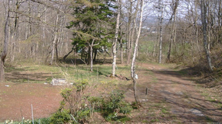 長野県菅平高原 ゆたか山荘 坂上 2026/04/26 13:45