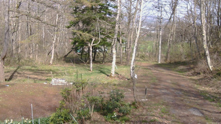 長野県菅平高原 ゆたか山荘 坂上 2026/04/26 14:30