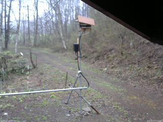 長野県菅平高原 ゆたか山荘 南側 2026/04/27 10:00