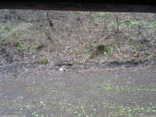 長野県菅平高原 ゆたか山荘 東側(坂下) 2026/04/27 11:00