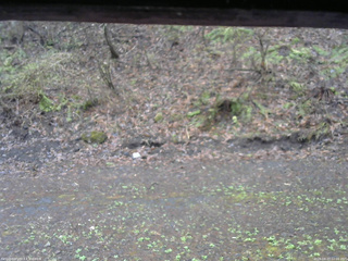 長野県菅平高原 ゆたか山荘 東側(坂下) 2026/04/27 12:00