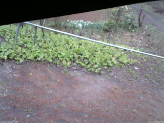 長野県菅平高原 ゆたか山荘 駐車場 2026/04/27 08:00