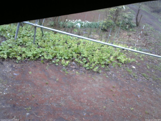 長野県菅平高原 ゆたか山荘 駐車場 2026/04/27 10:00