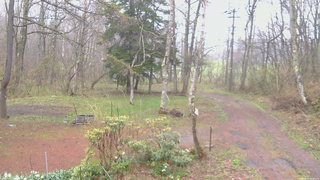 長野県菅平高原 ゆたか山荘 坂上 2026/04/27 06:30