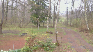 長野県菅平高原 ゆたか山荘 坂上 2026/04/27 07:30