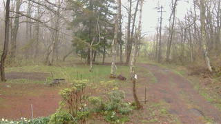 長野県菅平高原 ゆたか山荘 坂上 2026/04/27 10:00