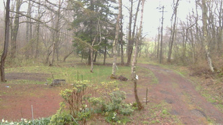 長野県菅平高原 ゆたか山荘 坂上 2026/04/27 10:15