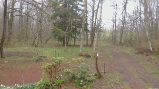 長野県菅平高原 ゆたか山荘 坂上 2026/04/27 11:00