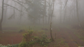 長野県菅平高原 ゆたか山荘 坂上 2026/04/27 14:00