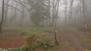 長野県菅平高原 ゆたか山荘 坂上 2026/04/27 14:30