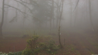 長野県菅平高原 ゆたか山荘 坂上 2026/04/27 14:45