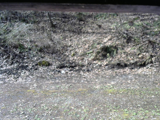 長野県菅平高原 ゆたか山荘 東側(坂下) 2026/04/28 08:00