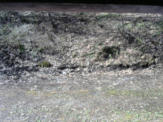 長野県菅平高原 ゆたか山荘 東側(坂下) 2026/04/28 08:15