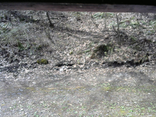 長野県菅平高原 ゆたか山荘 東側(坂下) 2026/04/28 09:00