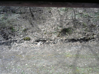 長野県菅平高原 ゆたか山荘 東側(坂下) 2026/04/28 10:30