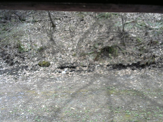 長野県菅平高原 ゆたか山荘 東側(坂下) 2026/04/28 11:00