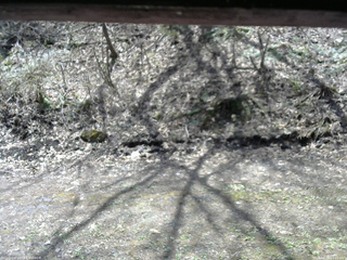 長野県菅平高原 ゆたか山荘 東側(坂下) 2026/04/28 11:15