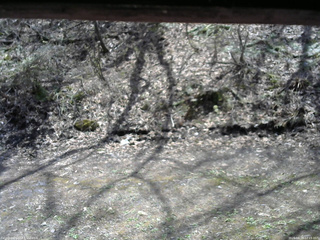 長野県菅平高原 ゆたか山荘 東側(坂下) 2026/04/28 12:15