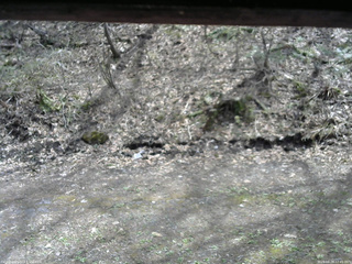 長野県菅平高原 ゆたか山荘 東側(坂下) 2026/04/28 12:45
