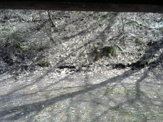 長野県菅平高原 ゆたか山荘 東側(坂下) 2026/04/28 13:30