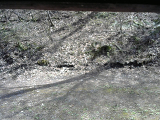 長野県菅平高原 ゆたか山荘 東側(坂下) 2026/04/28 14:00