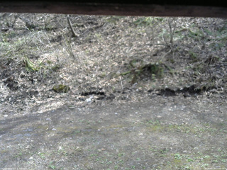 長野県菅平高原 ゆたか山荘 東側(坂下) 2026/04/28 14:30