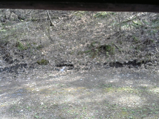長野県菅平高原 ゆたか山荘 東側(坂下) 2026/04/28 15:00