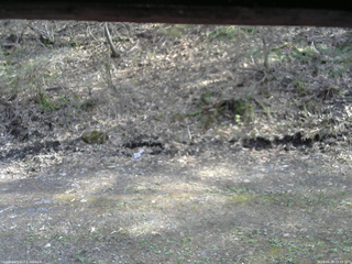 長野県菅平高原 ゆたか山荘 東側(坂下) 2026/04/28 15:15