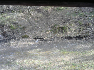 長野県菅平高原 ゆたか山荘 東側(坂下) 2026/04/28 15:30