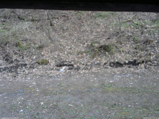 長野県菅平高原 ゆたか山荘 東側(坂下) 2026/04/28 17:45