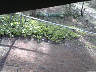 長野県菅平高原 ゆたか山荘 駐車場 2026/04/28 07:00