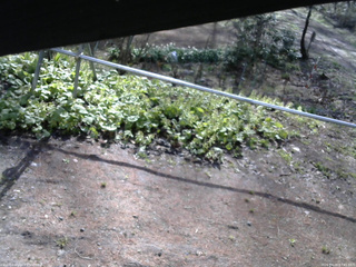 長野県菅平高原 ゆたか山荘 駐車場 2026/04/28 07:45