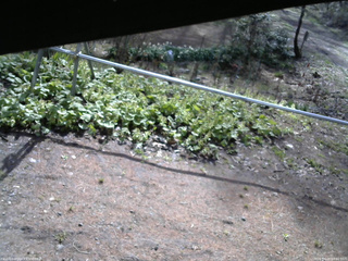 長野県菅平高原 ゆたか山荘 駐車場 2026/04/28 08:00