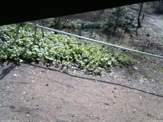 長野県菅平高原 ゆたか山荘 駐車場 2026/04/28 08:15