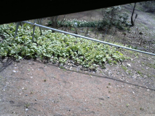長野県菅平高原 ゆたか山荘 駐車場 2026/04/28 08:30