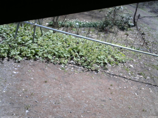 長野県菅平高原 ゆたか山荘 駐車場 2026/04/28 09:45