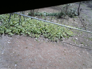 長野県菅平高原 ゆたか山荘 駐車場 2026/04/28 10:00