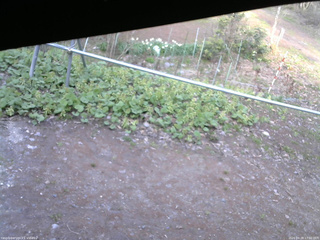 長野県菅平高原 ゆたか山荘 駐車場 2026/04/28 17:00