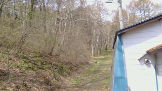 長野県菅平高原 ゆたか山荘 ゆたか山荘 2026/04/28 10:00