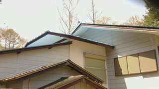 長野県菅平高原 ゆたか山荘 駐車場奥 2026/04/28 12:30
