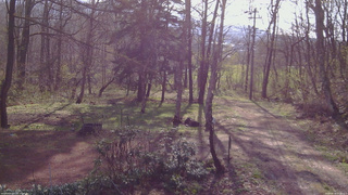 長野県菅平高原 ゆたか山荘 坂上 2026/04/28 07:30
