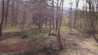 長野県菅平高原 ゆたか山荘 坂上 2026/04/28 08:00