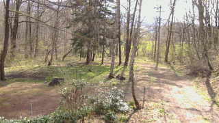 長野県菅平高原 ゆたか山荘 坂上 2026/04/28 08:15