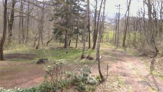 長野県菅平高原 ゆたか山荘 坂上 2026/04/28 08:30