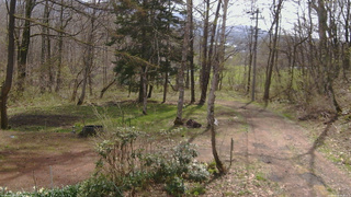長野県菅平高原 ゆたか山荘 坂上 2026/04/28 08:45