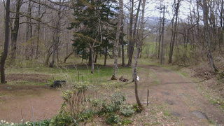長野県菅平高原 ゆたか山荘 坂上 2026/04/28 10:30