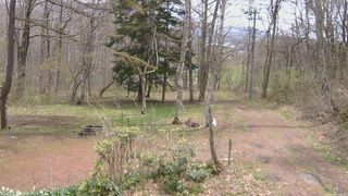 長野県菅平高原 ゆたか山荘 坂上 2026/04/28 11:00