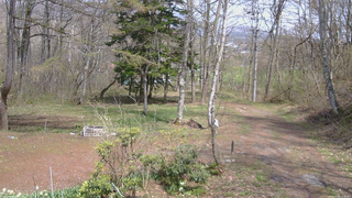 長野県菅平高原 ゆたか山荘 坂上 2026/04/28 13:15