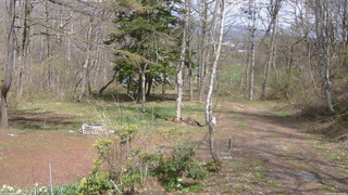 長野県菅平高原 ゆたか山荘 坂上 2026/04/28 13:30
